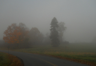 misty fall morning