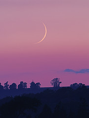 Evening mist & crescent Moon