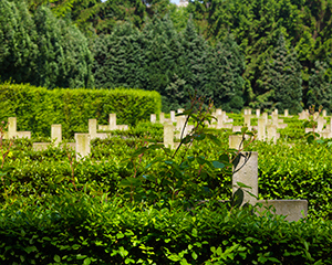 grpx_090524_001
