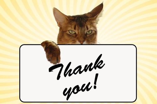 Thanks for voting for me!