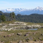 View S from Park Butte area