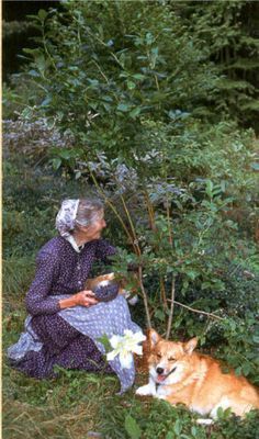 Image and video hosting by TinyPic