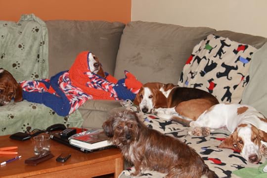 Enuf with the pictures! We are trying to sleep here!