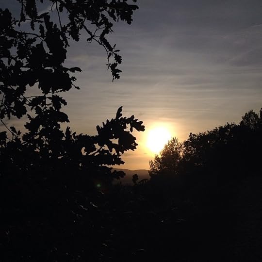 Going down #life #luberon #sunset