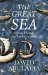 The Great Sea A Human History of the Mediterranean by David Abulafia