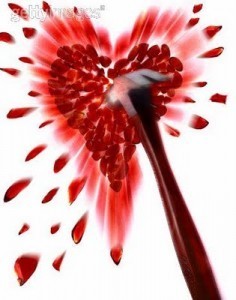  photo tumbheart-smashed-236x300_zpsbea8830f.jpg