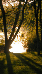 SAMSUNG DIGITAL CAMERA