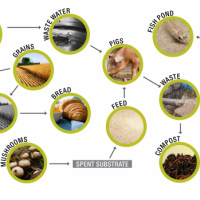 brewery-system_image_copyright-biomimicry-3-8-institute