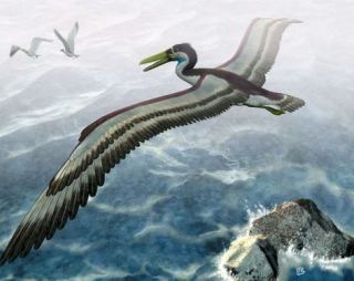 Image and video hosting by TinyPic