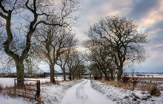 winter_wonderland