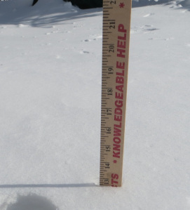 12inches