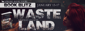WastelandBlitzBanner1