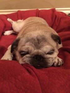 Bubba = fed up and weary