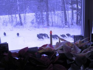 ???????????????????????????????