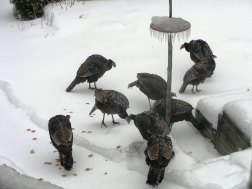 ???????????????????????????????