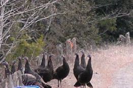 ???????????????????????????????