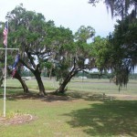 family reunion june 2011 057
