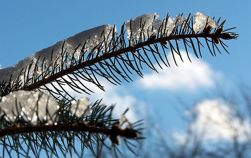 Photo by public-sector-lists.com @flickr