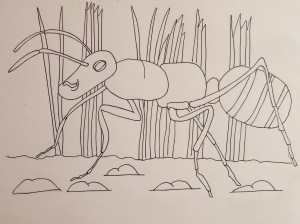 ant