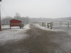 image courtesy of photobucket.com