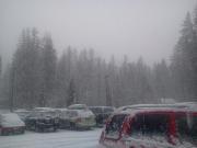 mccall.jpg