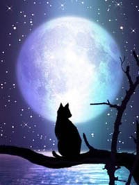 a romantic image of the moon - a perpetual source of inspiration for artists and poets