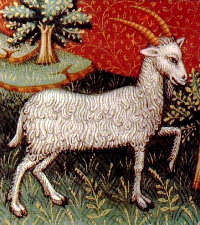 This illustration of Capricorn is from a 15th century astrological handbook.