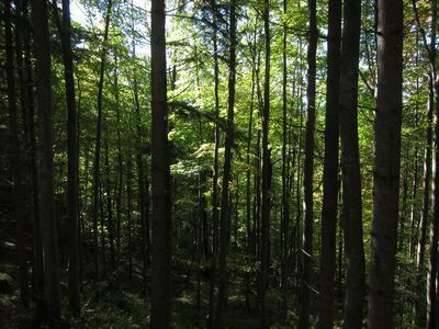 IMG_6794