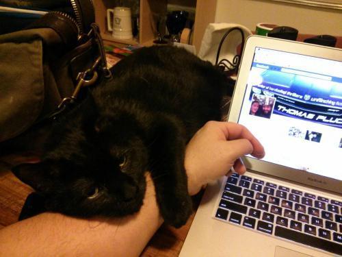 Goodbye, CatLoaf