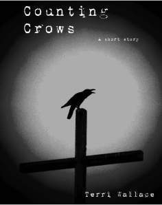 Counting crows cover 2014 3 (00287638)