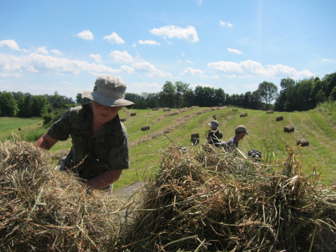 Only six months to go!