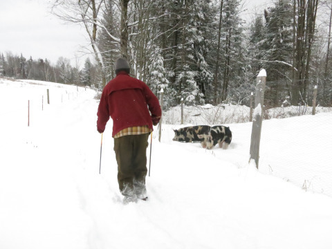 Skiing past breakfast