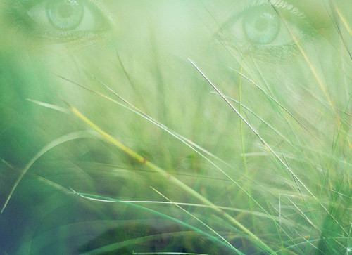 Photo by Laura Zalenga