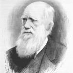 darwin5 pic