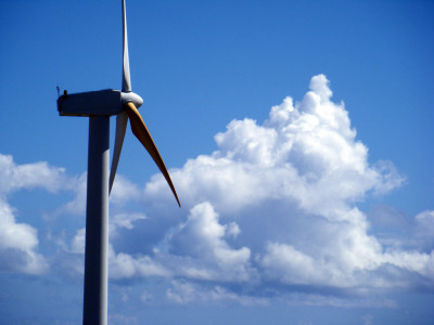 Upolo Wind Farm by Rosa Say