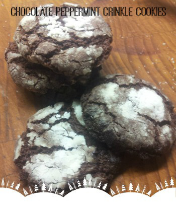 ChocPeppermintCrinkle