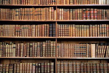 Endless Shelves of Books