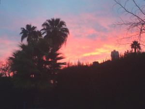 The start of a new life begins really early in the process.