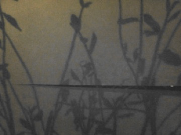 An abstract of shadows on a cement wall.