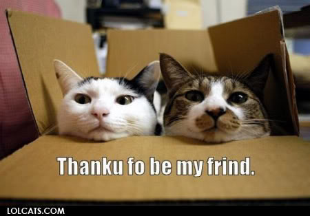 lolcats-friend