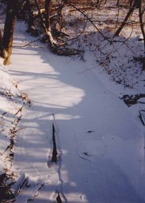 This creek resisted freezing shut until late January. I crossed it every day going to and from school my first year.