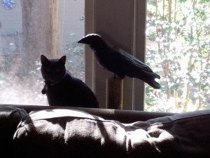 Alice and Papier Mache crow