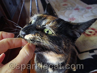 Don't worry, my human managed to keep all her fingers!