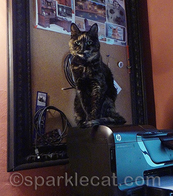 She can't supervise on the desk because it is too messy