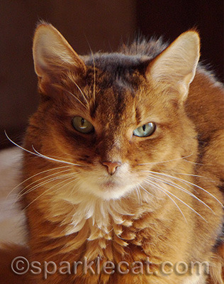 This post requires my serious expression