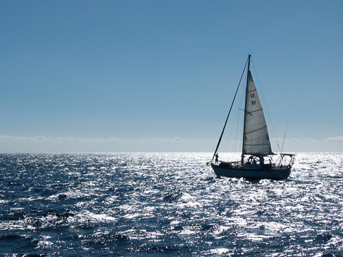 Sloop at Sea