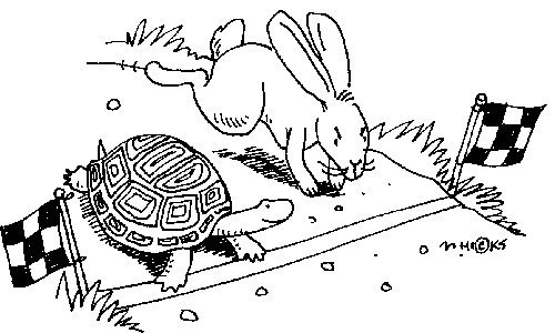 Tortoise Hare Leadership