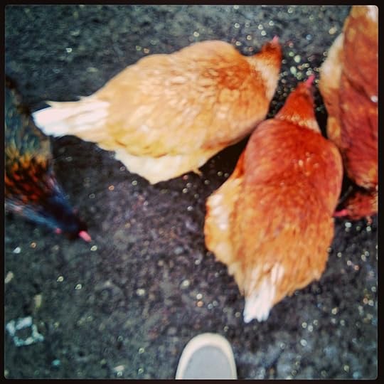 InstagramCapture_af22c1bf-4542-4764-a0dc-ab7eddf96806_jpg