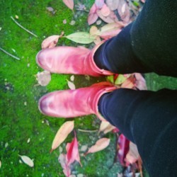 InstagramCapture_e465ebcc-a288-4247-a6da-6ab2903714fb_jpg
