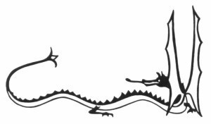 Smaug, b&w, direction pictured in bookDragonSketch